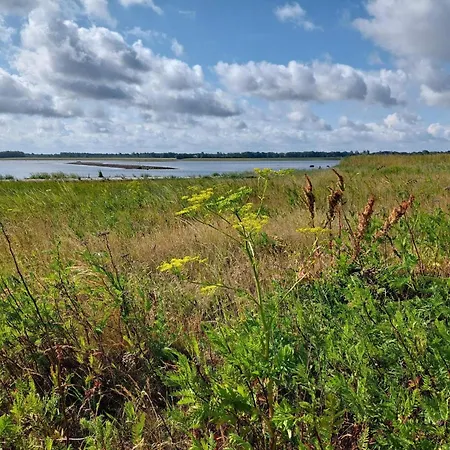 Tatil Evi 8 Person In Bogense-by Traum