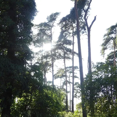 Feriehus 8 Person In Bogense-by Traum Bogense