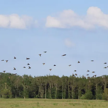 8 Person In Bogense-by Traum *