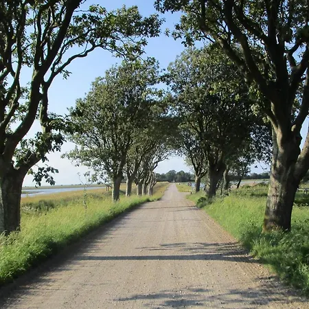 8 Person In Bogense-by Traum * Bogense