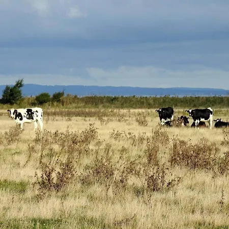 8 Person In Bogense-by Traum Feriehus *