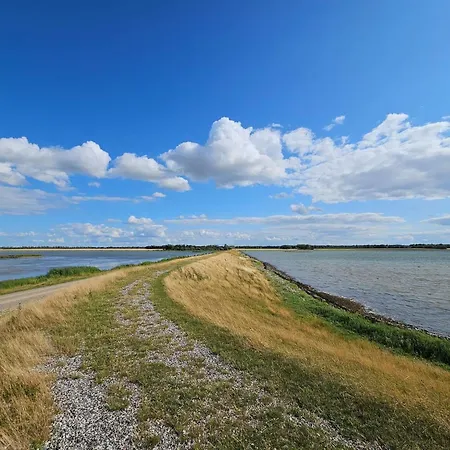 Feriehus 8 Person In Bogense-by Traum *